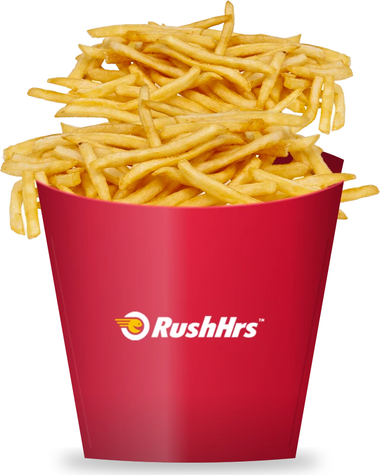Cheesy Fries
