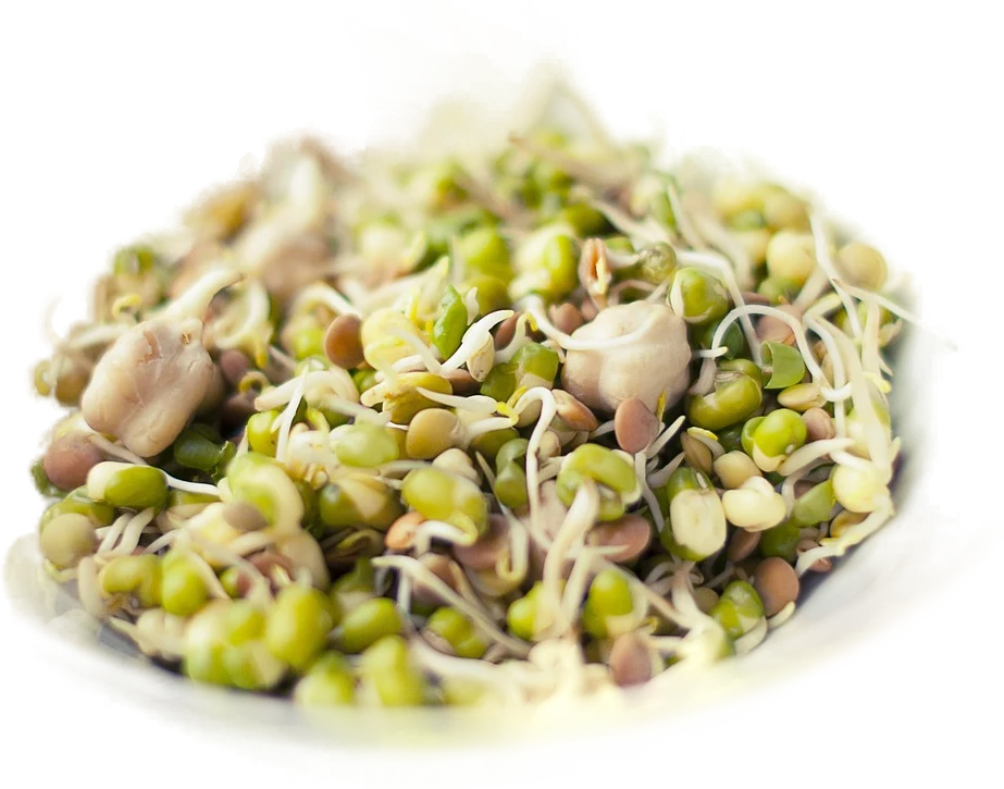 Mexican Bean Salad